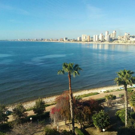 אל קאמפיו Apartamento Cabo Azul Playa Campello מראה חיצוני תמונה