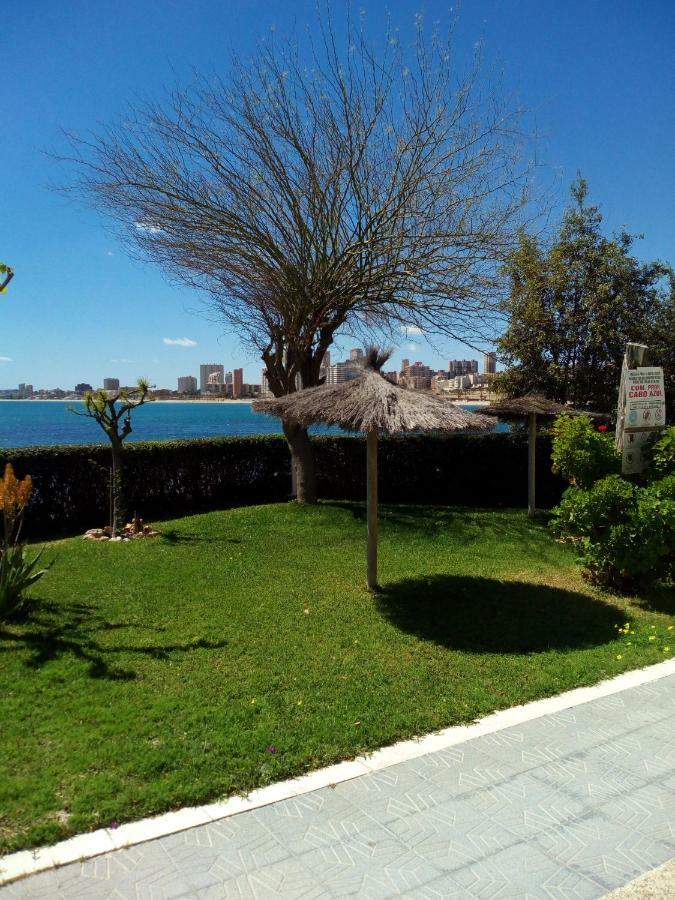 אל קאמפיו Apartamento Cabo Azul Playa Campello מראה חיצוני תמונה