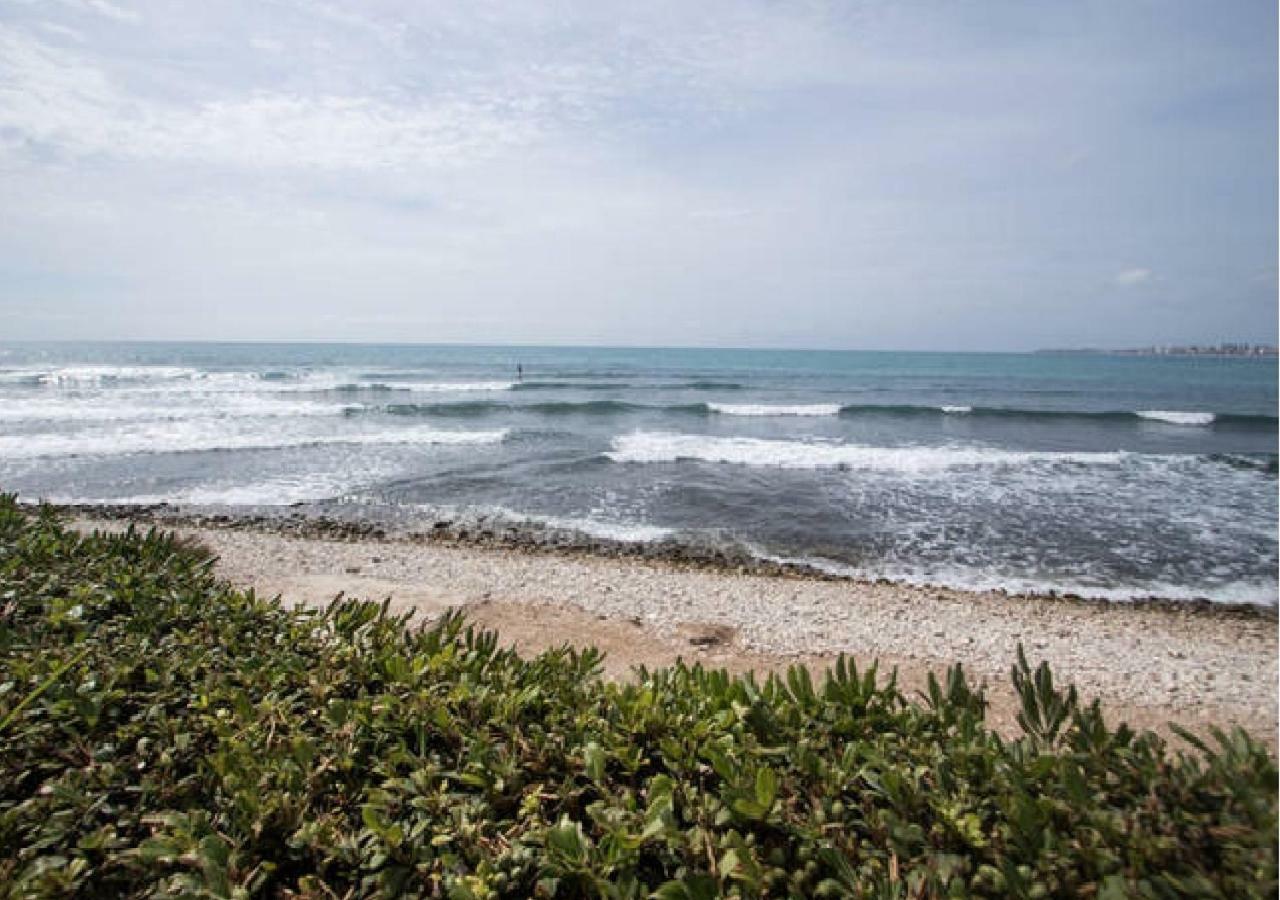 אל קאמפיו Apartamento Cabo Azul Playa Campello מראה חיצוני תמונה